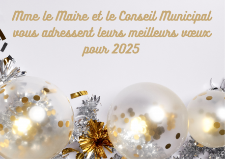 Meilleurs voeux pour 2025